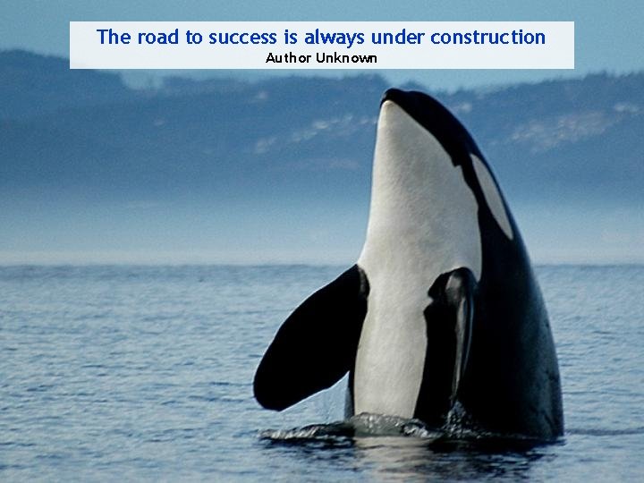 The road to success is always under construction Author Unknown 