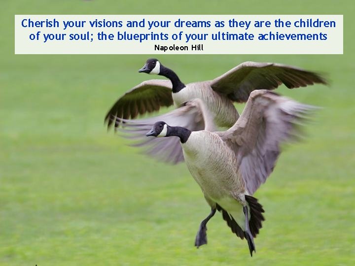 Cherish your visions and your dreams as they are the children of your soul;