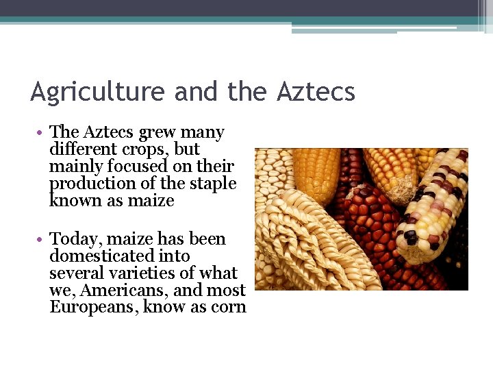 Agriculture and the Aztecs • The Aztecs grew many different crops, but mainly focused