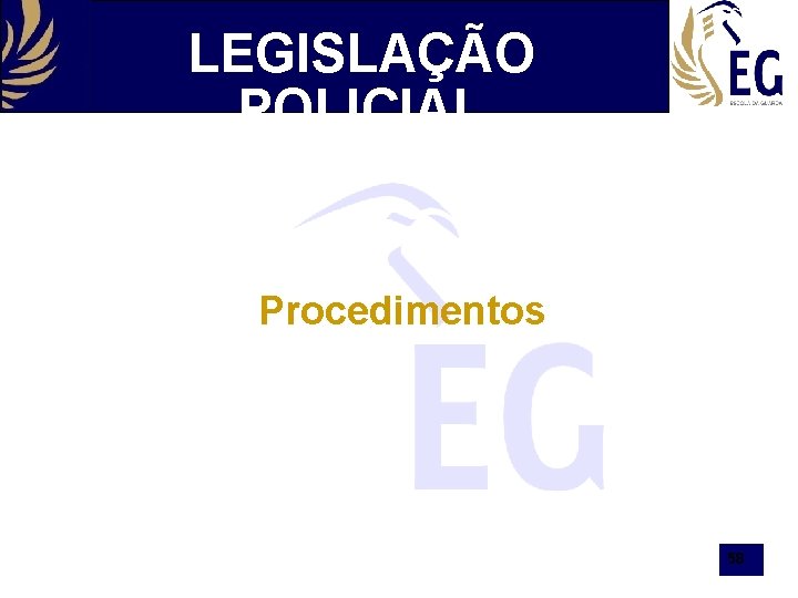 LEGISLAÇÃO POLICIAL Procedimentos 58 