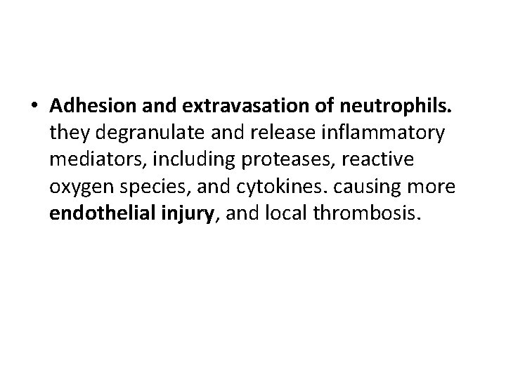 • Adhesion and extravasation of neutrophils. they degranulate and release inflammatory mediators, including • Adhesion and extravasation of neutrophils. they degranulate and release inflammatory mediators, including