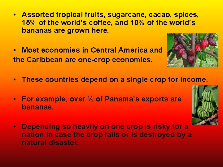  • Assorted tropical fruits, sugarcane, cacao, spices, 15% of the world’s coffee, and