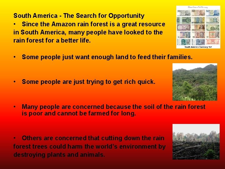 South America - The Search for Opportunity • Since the Amazon rain forest is
