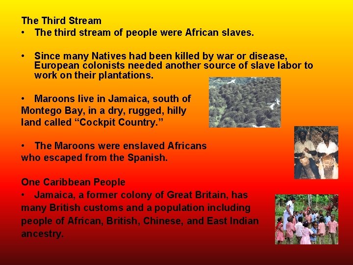 The Third Stream • The third stream of people were African slaves. • Since