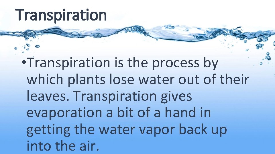 Transpiration • Transpiration is the process by which plants lose water out of their