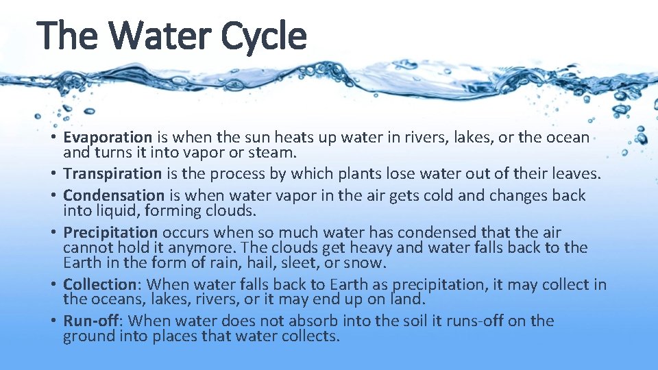 The Water Cycle • Evaporation is when the sun heats up water in rivers,