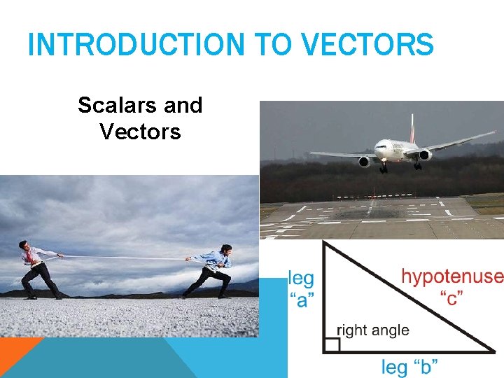 INTRODUCTION TO VECTORS Scalars and Vectors 