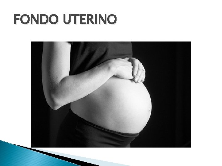 FONDO UTERINO 