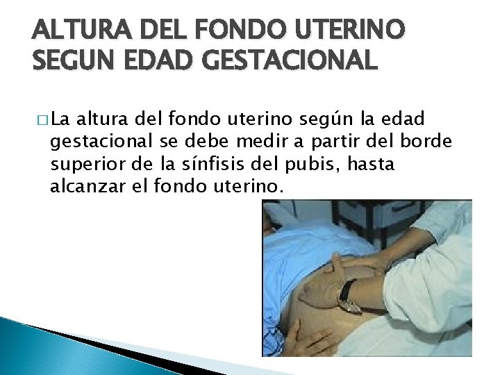 ALTURA DEL FONDO UTERINO SEGUN EDAD GESTACIONAL � La altura del fondo uterino según