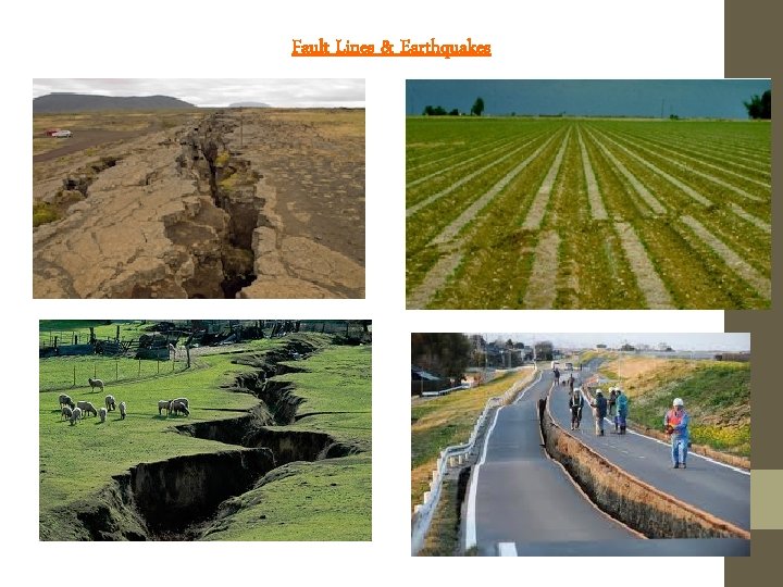 Fault Lines & Earthquakes 