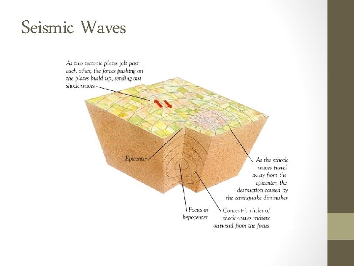 Seismic Waves 