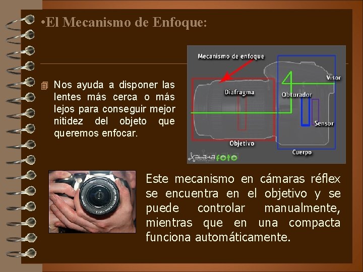  • El Mecanismo de Enfoque: 4 Nos ayuda a disponer las lentes más