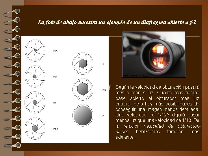 La foto de abajo muestra un ejemplo de un diafragma abierto a f/2 4
