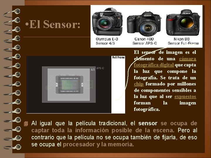  • El Sensor: El sensor de imagen es el elemento de una cámara