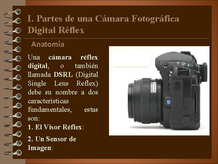 I. Partes de una Cámara Fotográfica Digital Réflex Anatomía Una cámara réflex digital, o