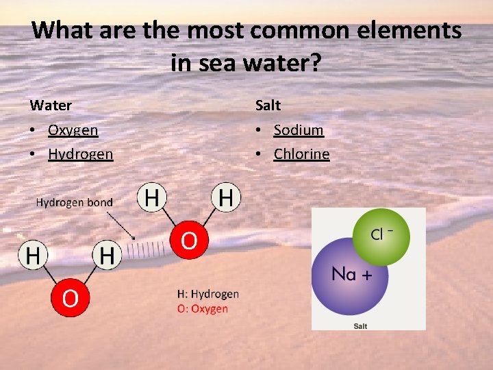 What are the most common elements in sea water? Water Salt • Oxygen •