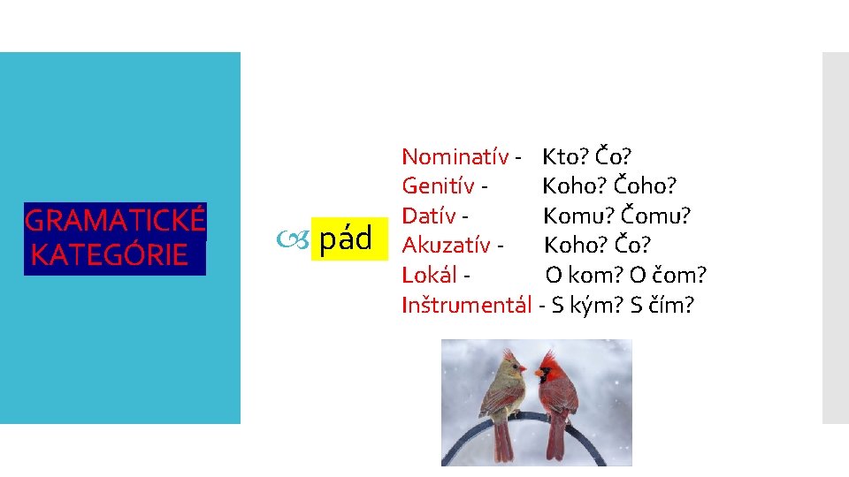 GRAMATICKÉ KATEGÓRIE pád Nominatív - Kto? Čo? Genitív Koho? Čoho? Datív Komu? Čomu? Akuzatív