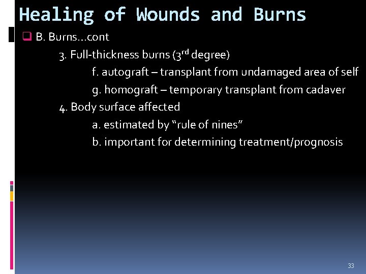 Healing of Wounds and Burns q B. Burns…cont 3. Full-thickness burns (3 rd degree)