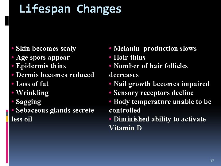 Lifespan Changes • Skin becomes scaly • Age spots appear • Epidermis thins •