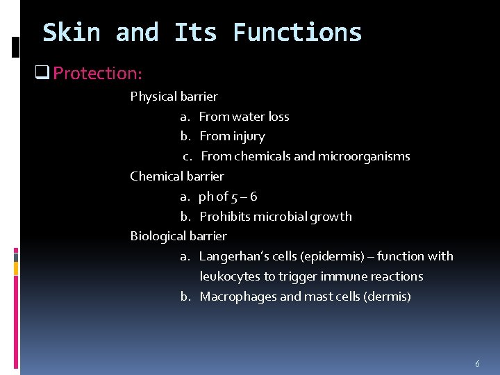 Skin and Its Functions q Protection: Physical barrier a. From water loss b. From