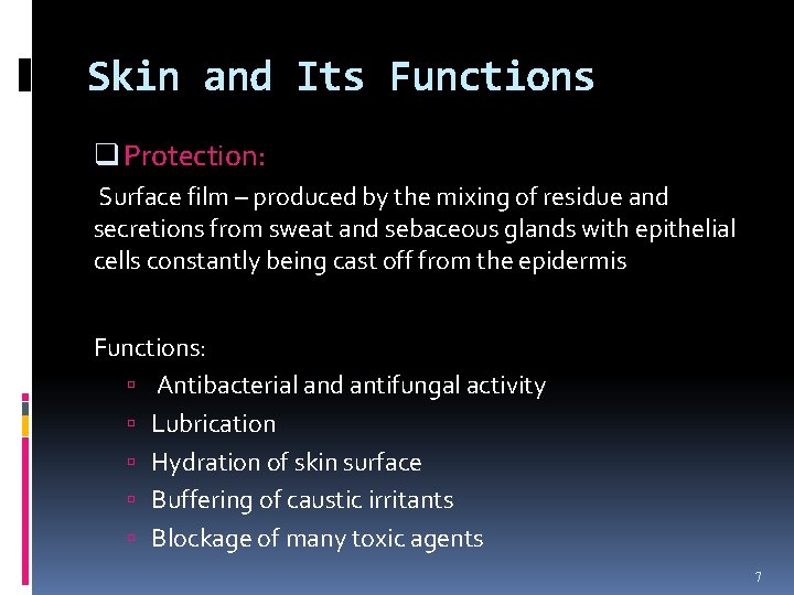 Skin and Its Functions q Protection: Surface film – produced by the mixing of
