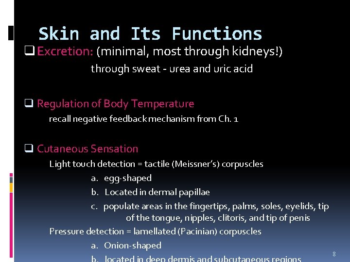 Skin and Its Functions q Excretion: (minimal, most through kidneys!) through sweat - urea