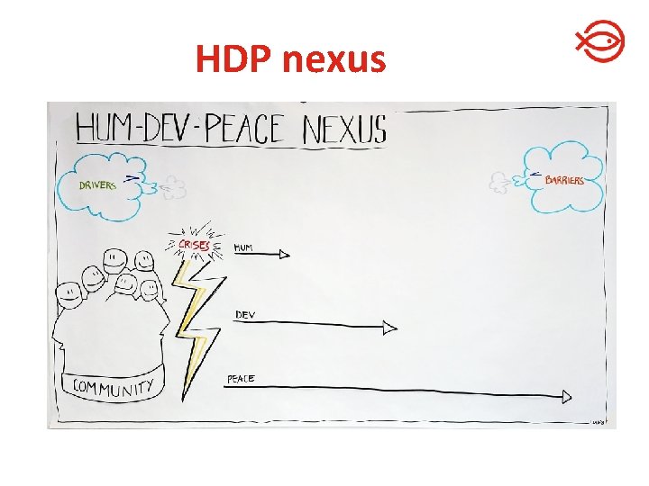 HDP nexus 