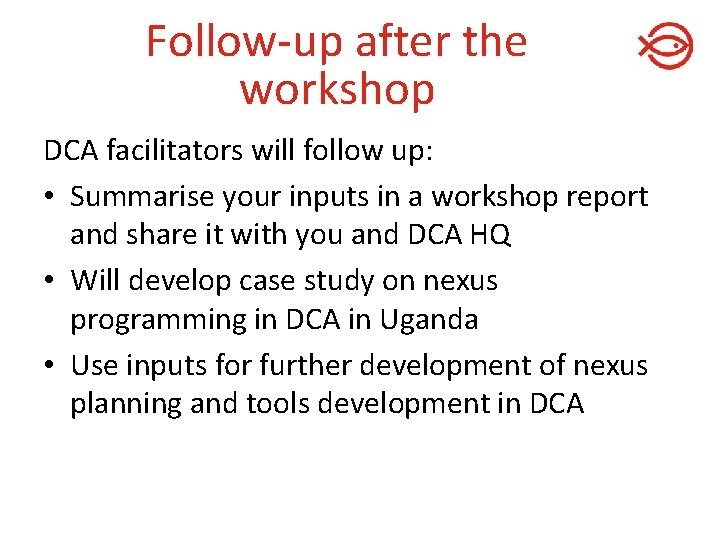 Follow-up after the workshop DCA facilitators will follow up: • Summarise your inputs in