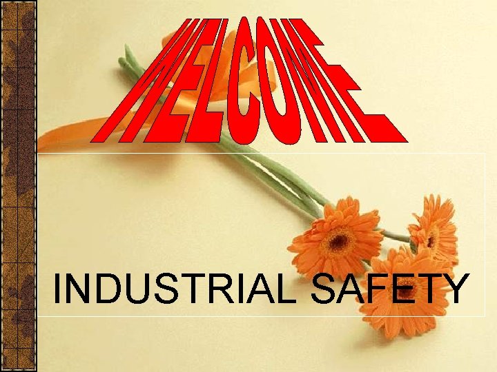 INDUSTRIAL SAFETY 