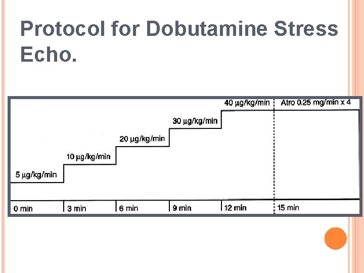 Protocol for Dobutamine Stress Echo. 