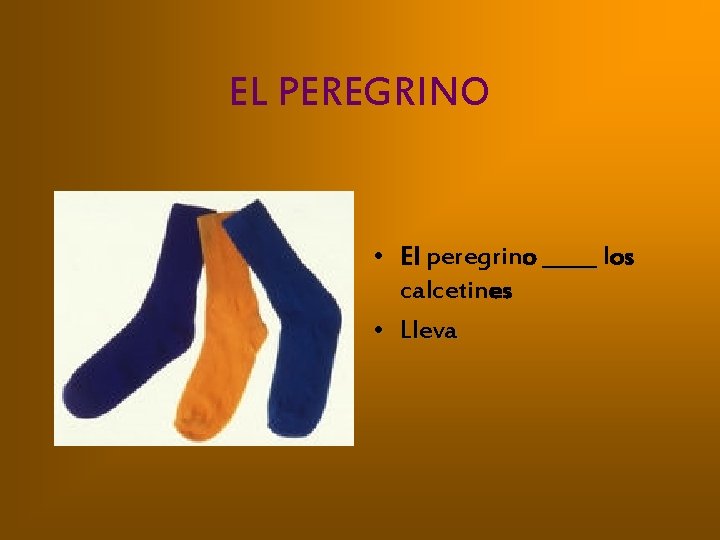 EL PEREGRINO • El peregrino _____ los calcetines • Lleva 