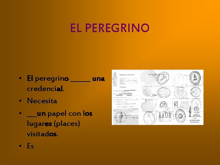 EL PEREGRINO • El peregrino ______ una credencial. • Necesita • ___un ___ papel