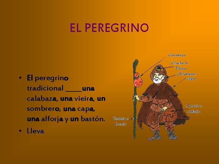 EL PEREGRINO • El peregrino tradicional _____una _____ calabaza, una vieira, un sombrero, una