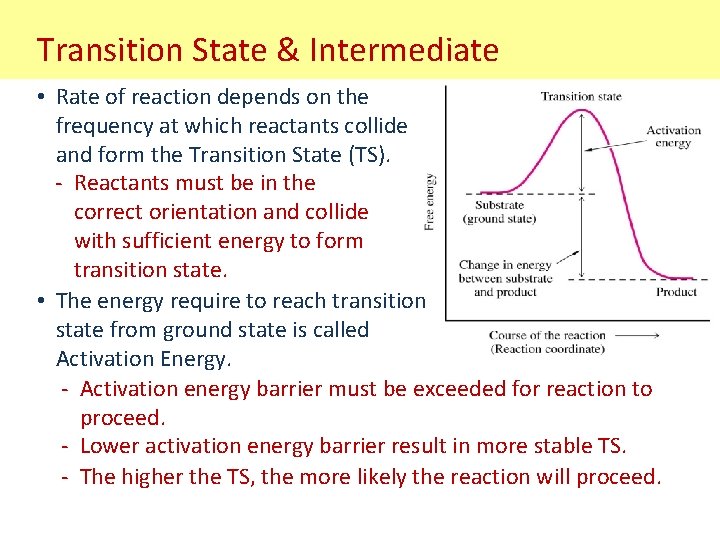 Transition State & Intermediate • Rate of reaction depends on the frequency at which