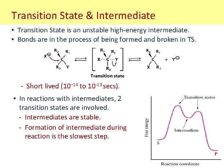 Transition State & Intermediate • Transition State is an unstable high-energy intermediate. • Bonds