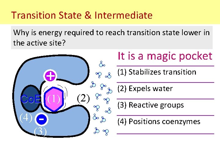 Transition State & Intermediate Why is energy required to reach transition state lower in