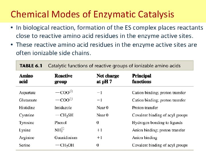 Chemical Modes of Enzymatic Catalysis • In biological reaction, formation of the ES complex