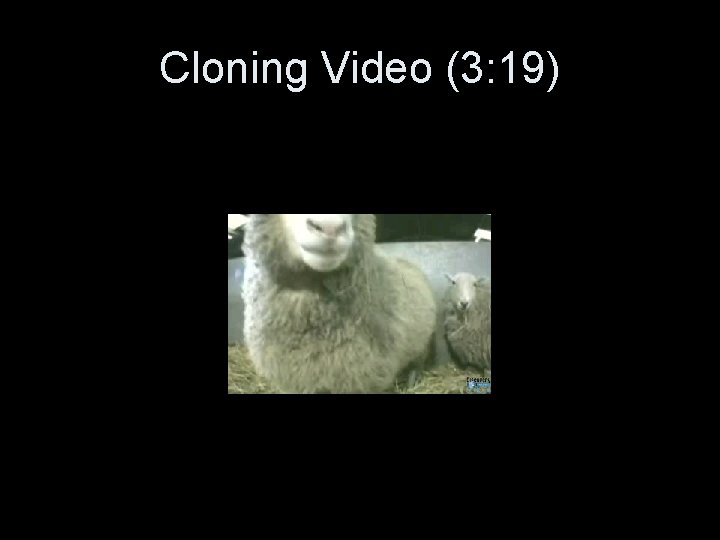 Cloning Video (3: 19) 