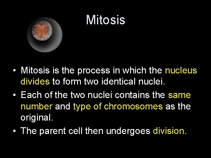 Mitosis • Mitosis is the process in which the nucleus divides to form two