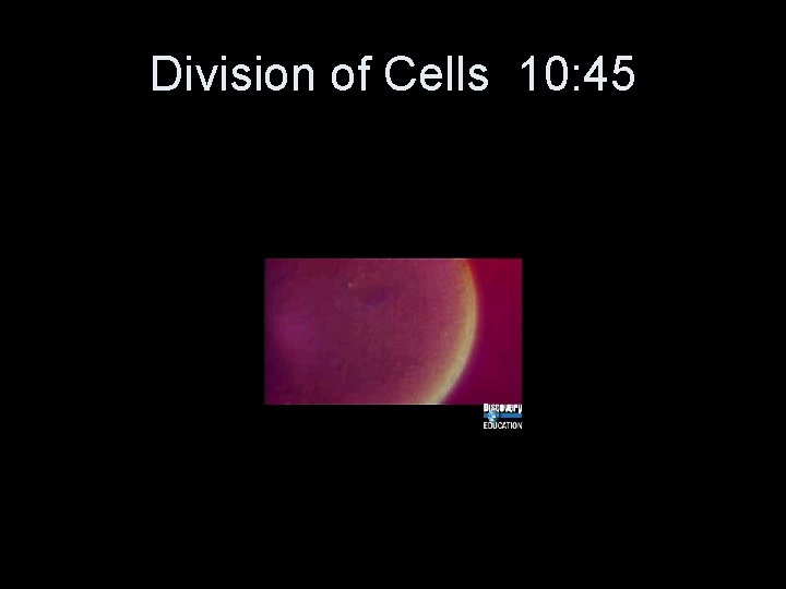 Division of Cells 10: 45 