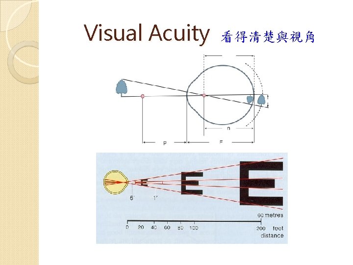 Visual Acuity 看得清楚與視角 