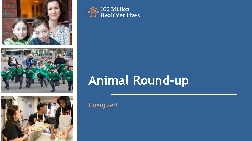 Animal Round-up Energizer! 