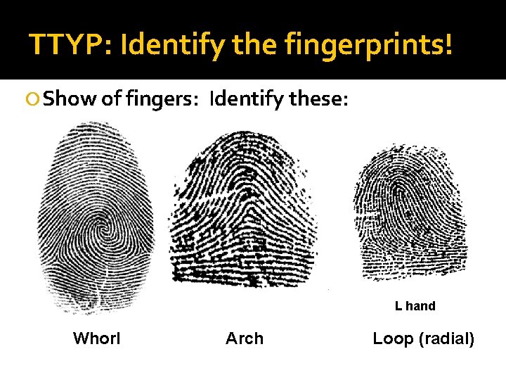 TTYP: Identify the fingerprints! Show of fingers: Identify these: L hand Whorl Arch Loop