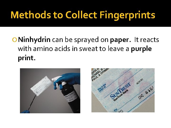 Methods to Collect Fingerprints Ninhydrin can be sprayed on paper. It reacts with amino