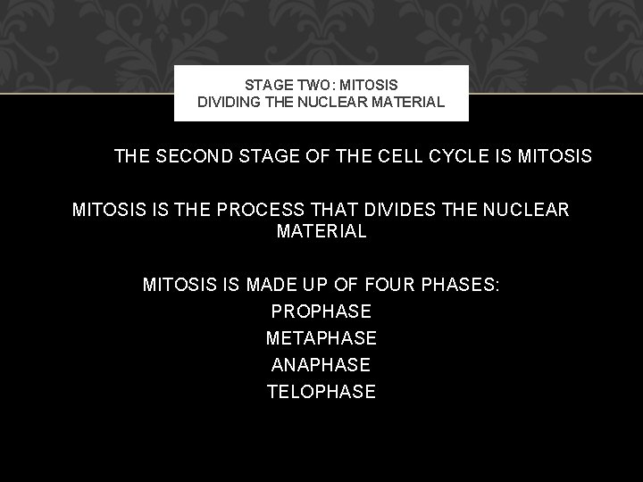 STAGE TWO: MITOSIS DIVIDING THE NUCLEAR MATERIAL THE SECOND STAGE OF THE CELL CYCLE