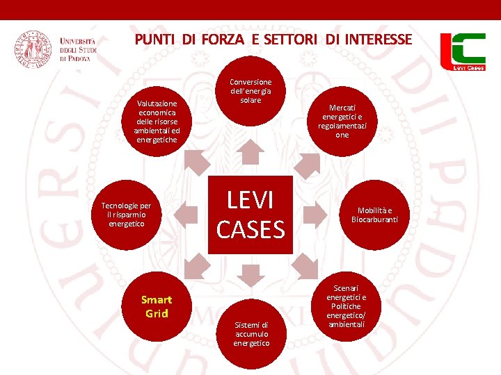 PUNTI DI FORZA E SETTORI DI INTERESSE Valutazione economica delle risorse ambientali ed energetiche