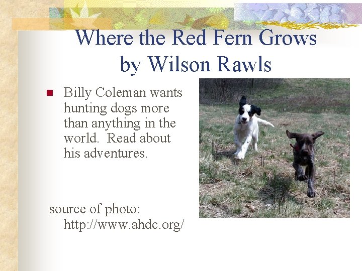 Where the Red Fern Grows by Wilson Rawls n Billy Coleman wants hunting dogs