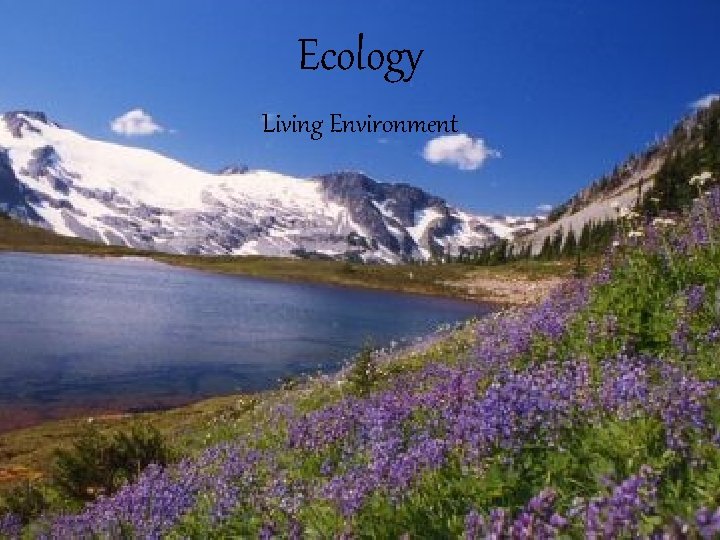 Ecology Living Environment 