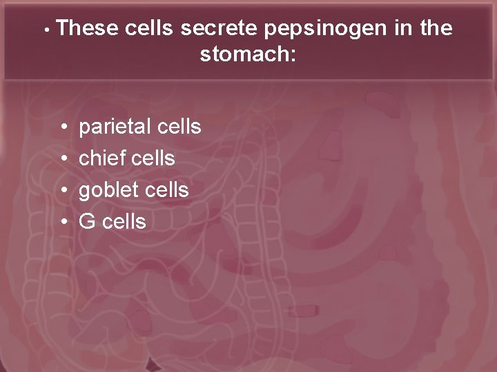  • These • • cells secrete pepsinogen in the stomach: parietal cells chief