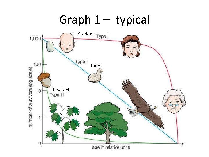 Graph 1 – typical K-select Rare R-select 